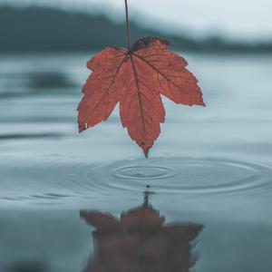 人妻与黑人㐅╳乄㐅
